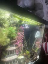 Photo 1 from Tammi Nutting's review