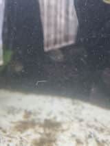 Photo 1 from Andreas Georgiou's review
