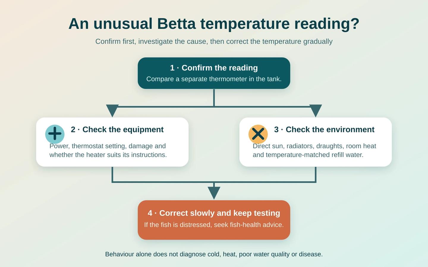Flow diagram for confirming an unusual Betta water temperature and checking the heater and room before gradual correction