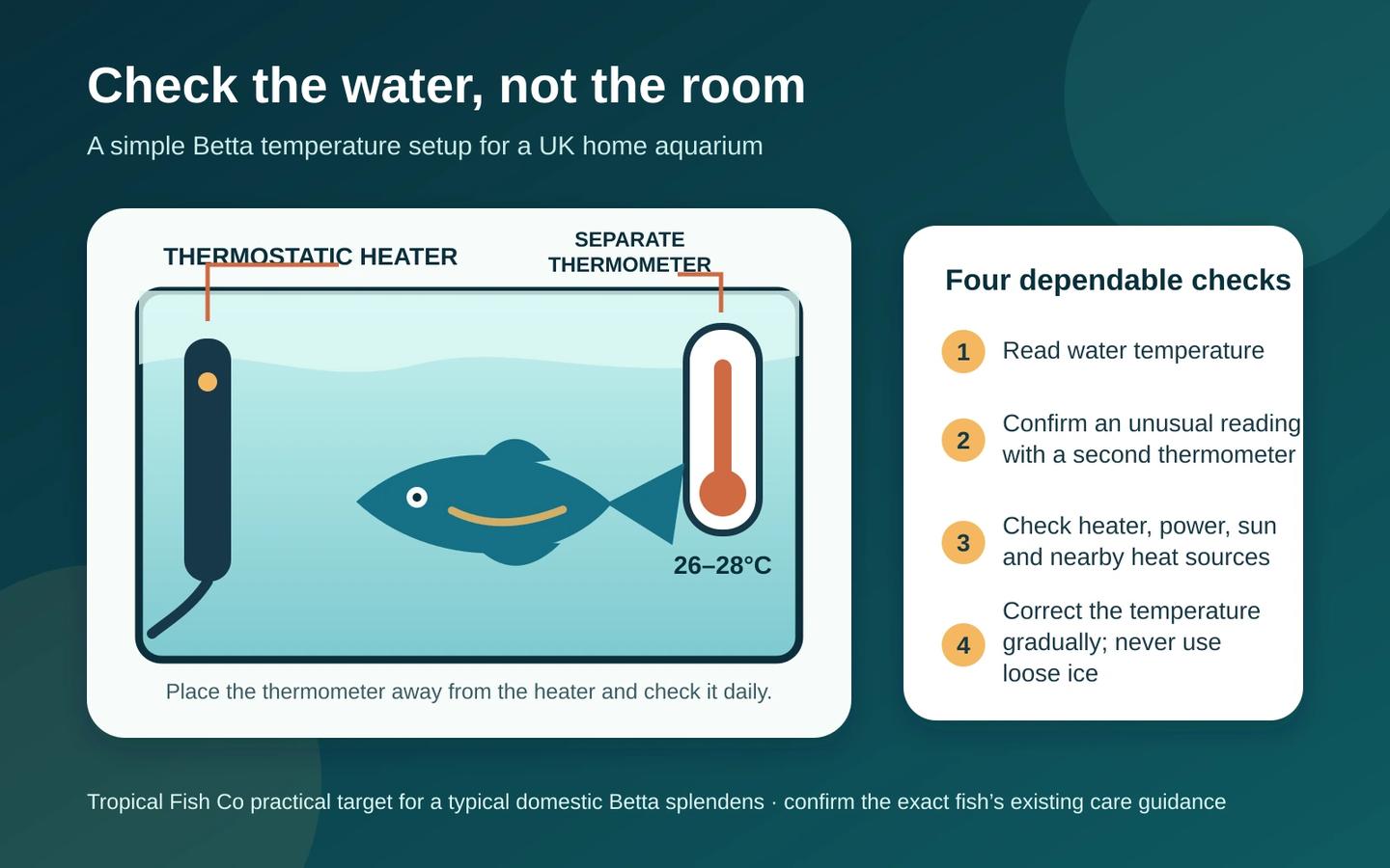 Diagram showing a thermostatic aquarium heater and a separate thermometer placed apart in a Betta tank