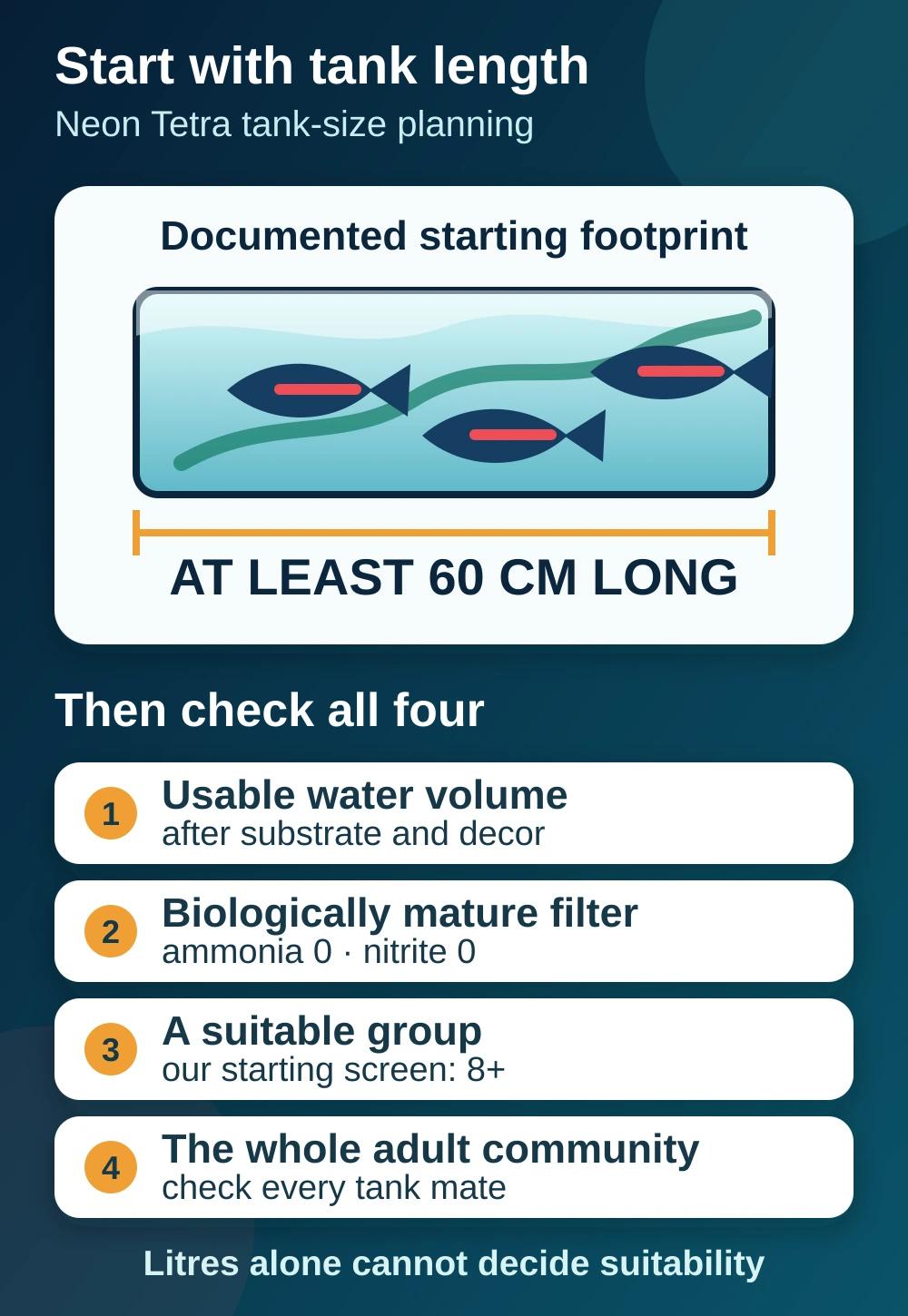 Diagram showing a 60 cm aquarium length as the starting footprint before checking usable volume, filtration, group size and tank mates