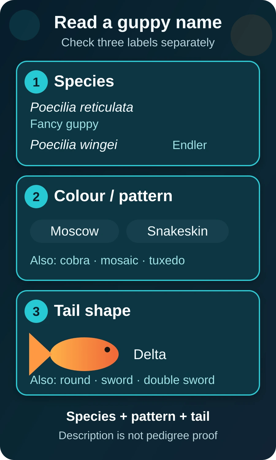 Diagram explaining that a guppy type name can combine species, colour pattern and tail shape