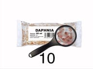 Representative 90ml Daphnia bag graphic with magnified Daphnia; ordered pack contains 25 bags - view 1
