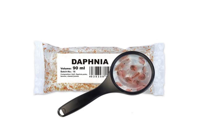 Live Daphnia Pe Bags for Fish UK