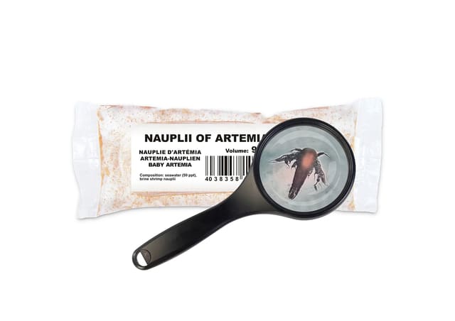 Artemia nauplii freshly hatched live food in 90ml PE bags pack of 25