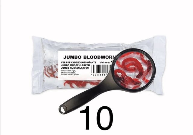 Live jumbo bloodworms – 10x90ml bags, 900ml total, for cichlids and large tropical fish