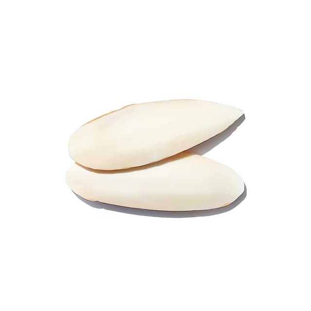 Agrobs Testudo Cuttlebone - Calcium Supplement — calcium supplement UK — Vivarium Animal Food