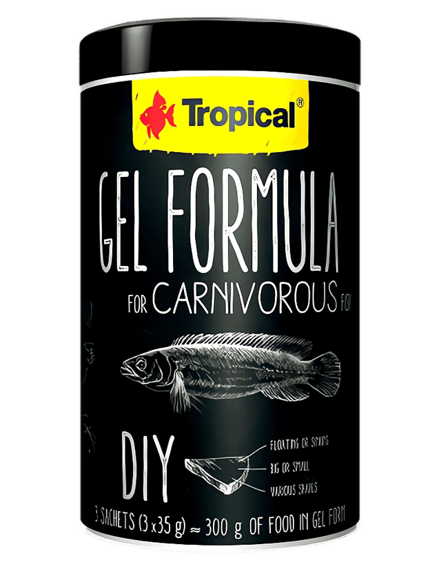 Tropical Gel Formula Carnivore 3x35g high-protein gel fish food