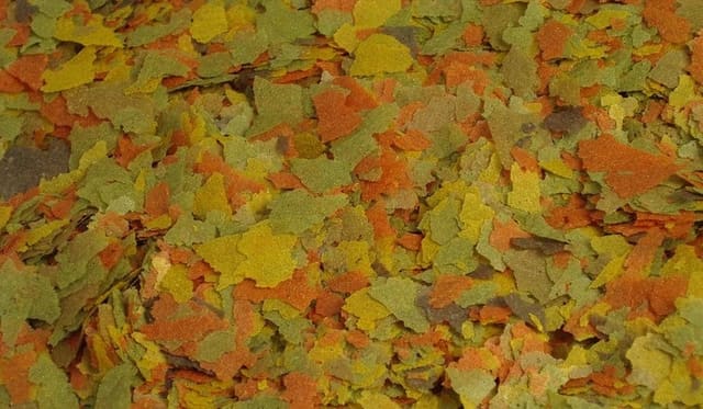 Petra Universal Flake Food 1 kg pack for aquarium fish