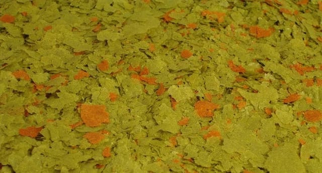 Petra Flake Food with Spirulina 1 kg bulk pack for aquarium fish