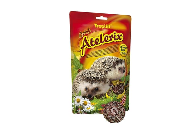 Tropical Atelerix Equipment