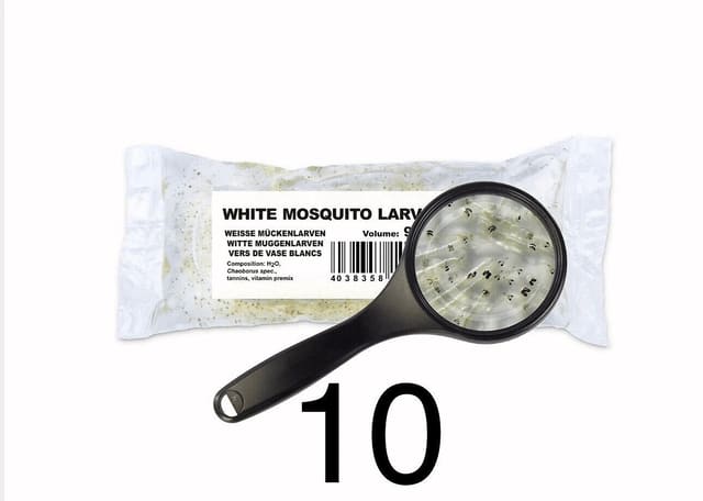 Live white mosquito larvae Chaoborus fish food pack