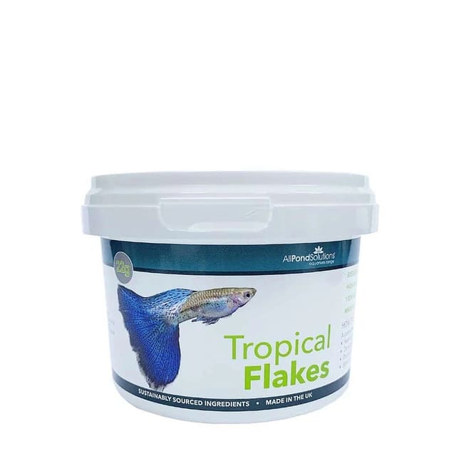 Flakes (Floating Pond Fish Flake Food, 500ml — Pond Fish Flake Food — Dry Food UK