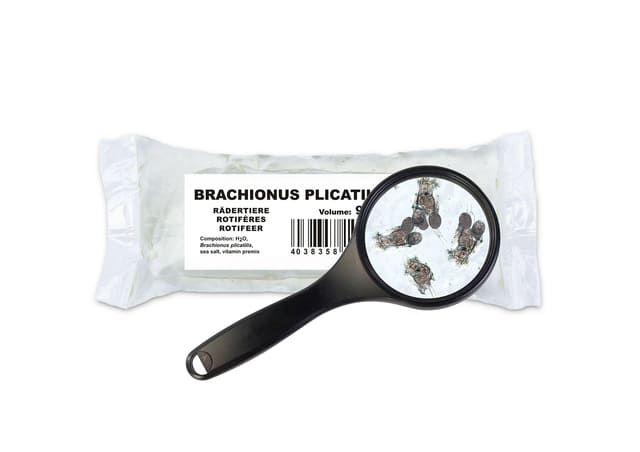 Petra Red Rotifer live food 15 x 180ml PE bags for aquarium fish