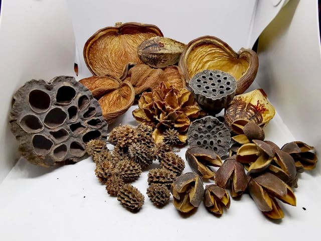 Set of nature products dried fish food 180g with Bakuli, Casuarina, Badam, Arjuna, Lotus, Mahagon and Jacaranda