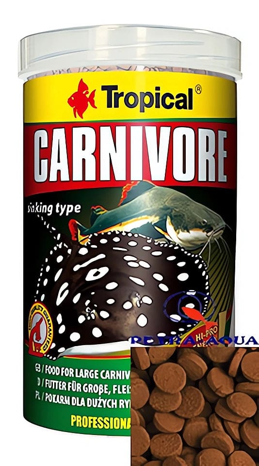 Tropical Carnivore Fish Food - Best for UK Aquariums — Tropical Carnivore Fish Food for UK Aquarists