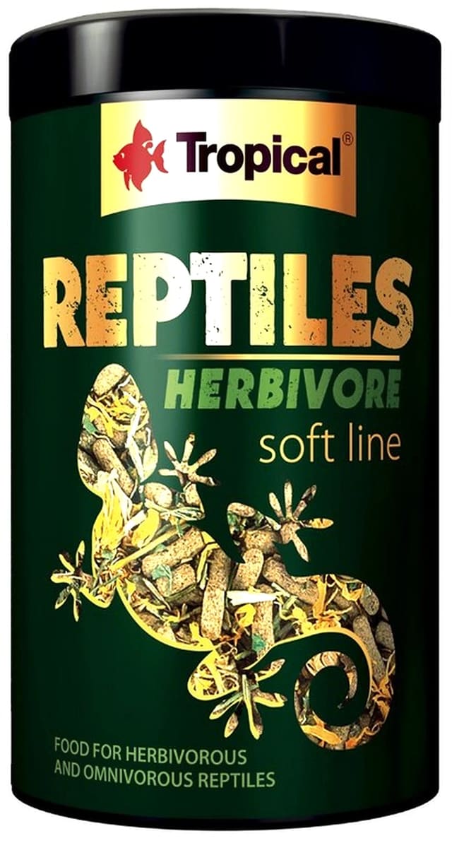 Tropical Iguana Sticks