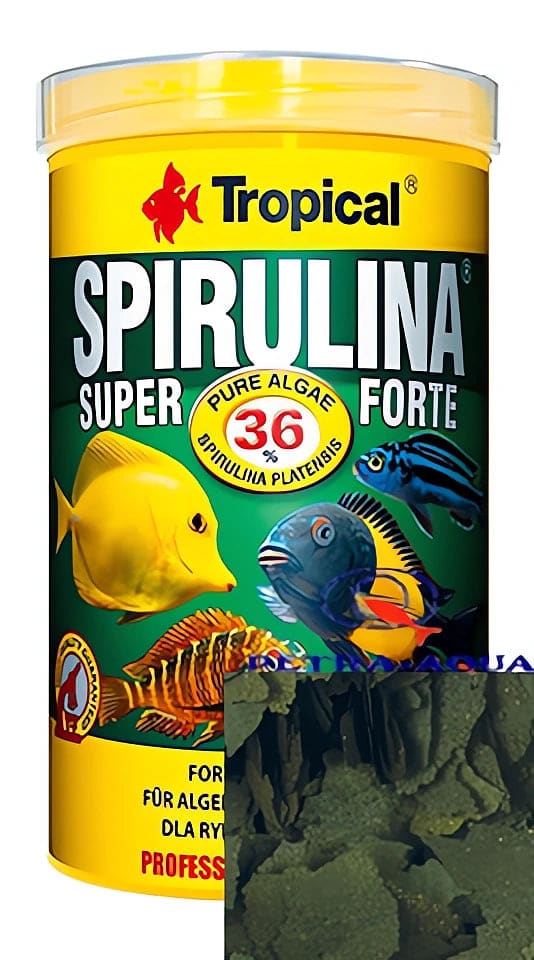 Tropical Super Spirulina Forte 36% high-spirulina flake food tub